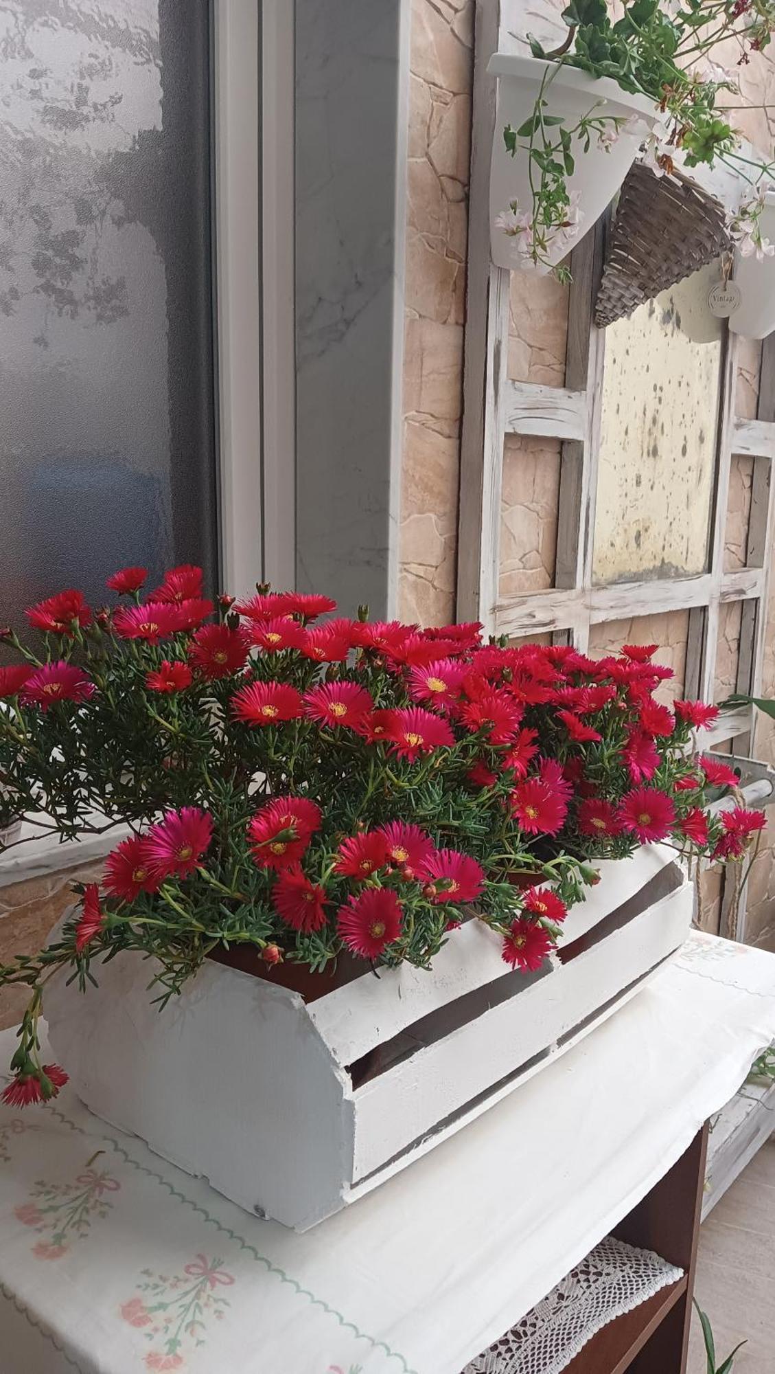 مبيت وإفطار ريجّو دي كالابريا Le 3 Dee الغرفة الصورة